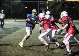 橄榄球赔率刷新纪录,竞猜热度飙升 橄榄球赔率刷新纪录,竞猜热度飙升