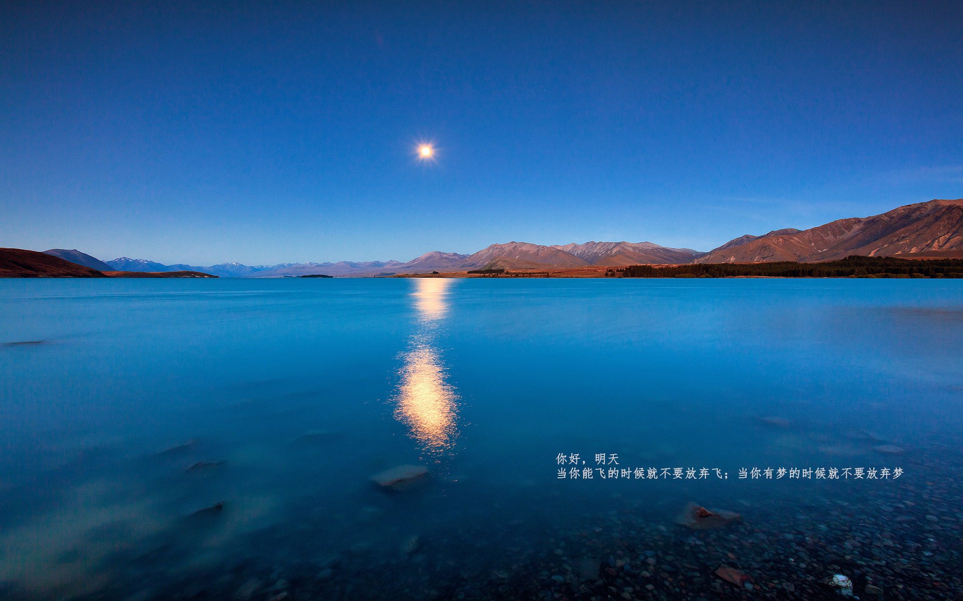 北欧战吼遭遇亚特兰大之鹰—2026世界杯预选赛的冰与火对决