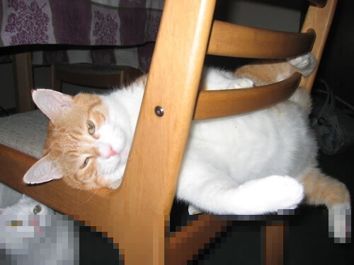 开云体育APP下载-时间裂缝，当雷霆击溃新疆之夜，保罗正跨越半球接管比赛