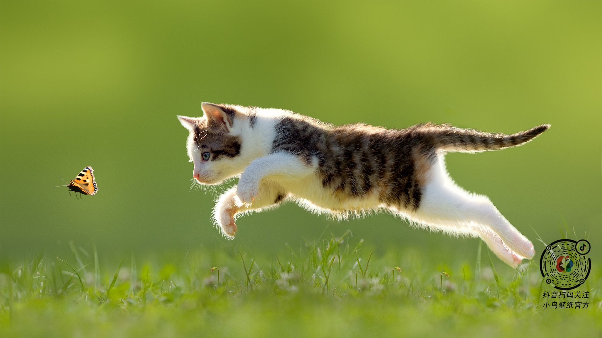 隐形的巨人,奥亚尔萨瓦尔如何用一粒进球,让姆巴佩的光芒成为映衬他的星光