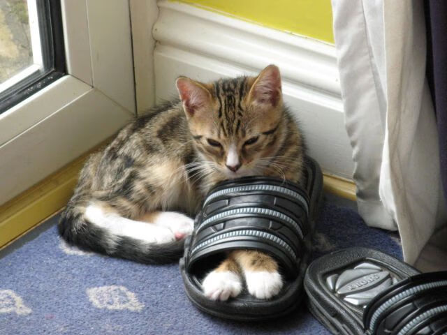 开云体育入口-唯一门票