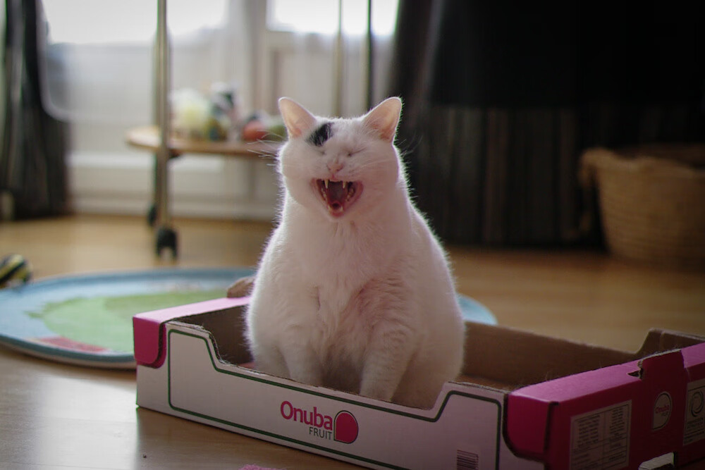 冰与火之战,詹姆斯独木难支,开拓者团队铁幕令骑士窒息