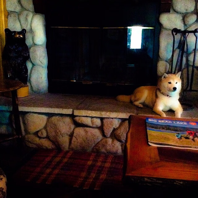 黄蓝风暴席卷美加墨，当波斯铁骑披上黄色潜水艇战袍，2026世界杯最大黑马诞生？