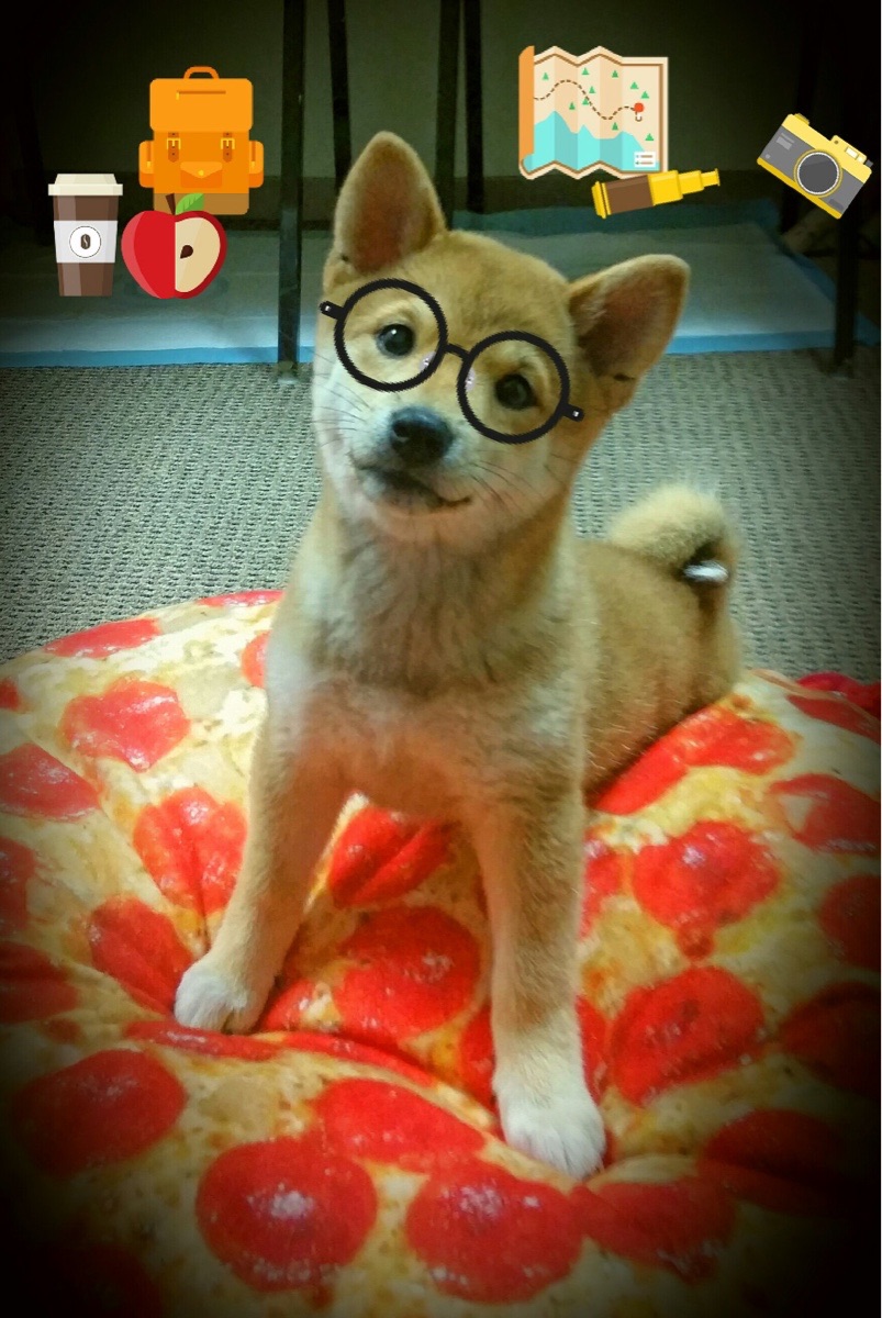 德甲争冠战之夜，迪马利亚那记彩虹，为何是不可复制的唯一密钥？