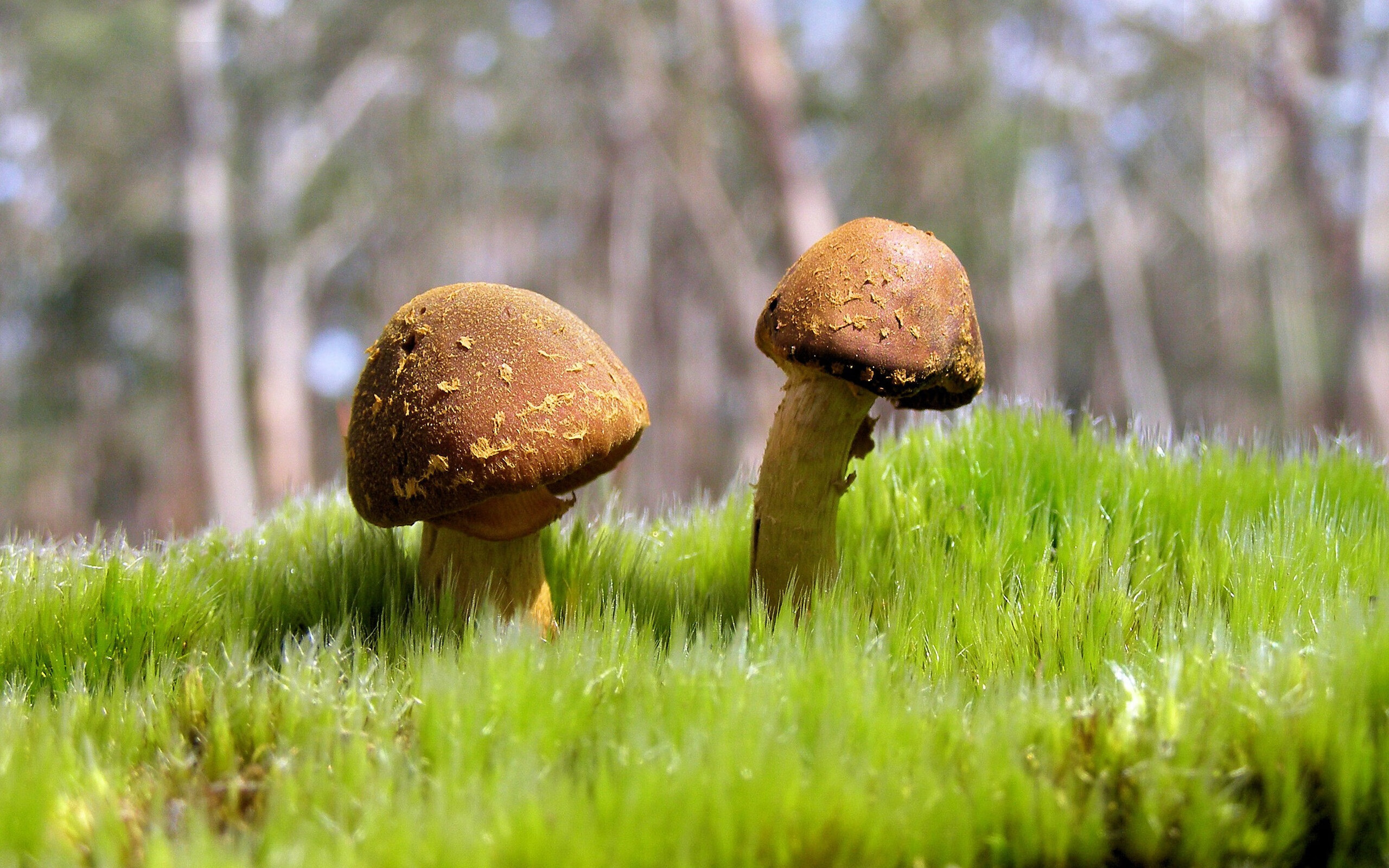 当世界聚焦姆巴佩时，低调大师布伦森用教科书表现定义全场最佳