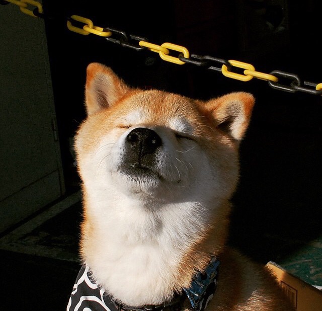 天鹅绒帷幕落下时,当魔术提前终结悬念,杜兰特以角斗士姿态惊艳四座