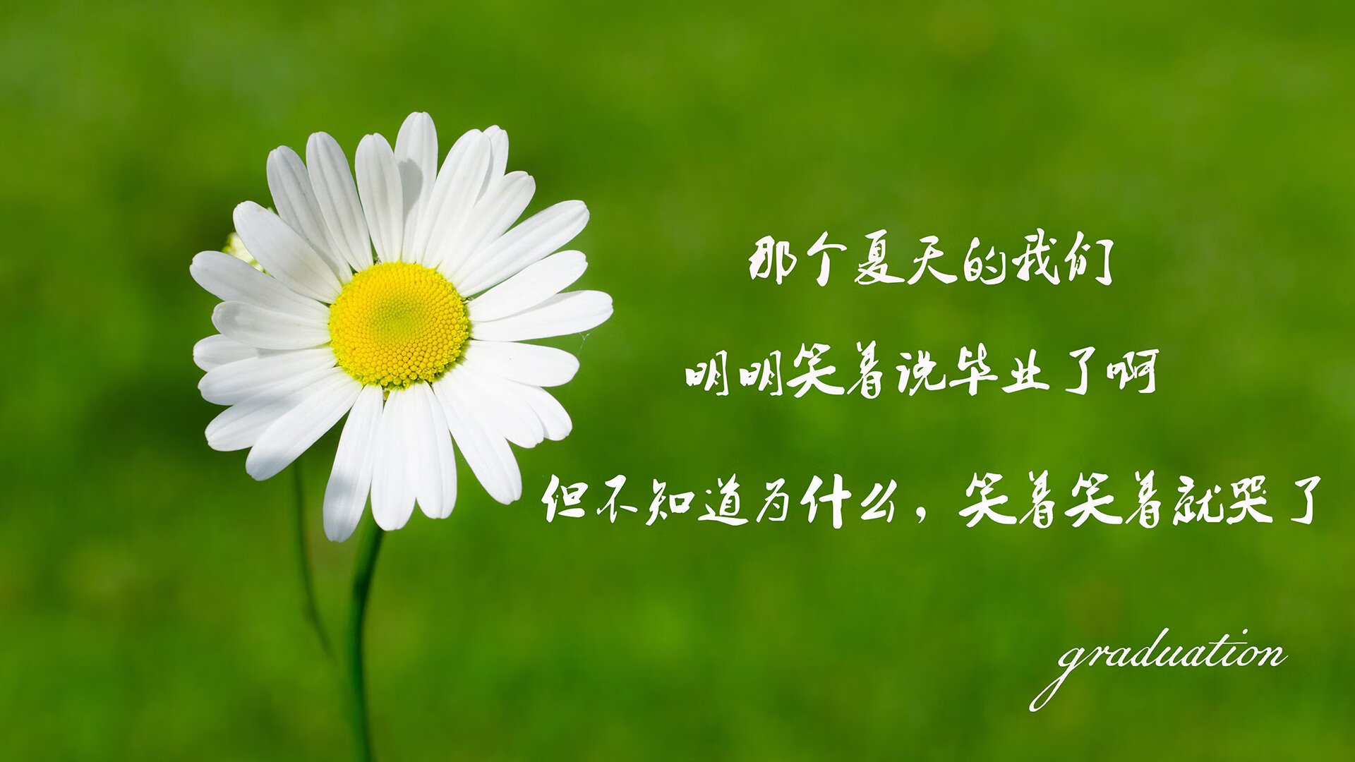 苍穹之下，守护的艺术，欧冠淘汰赛之夜库尔图瓦的压制级交响
