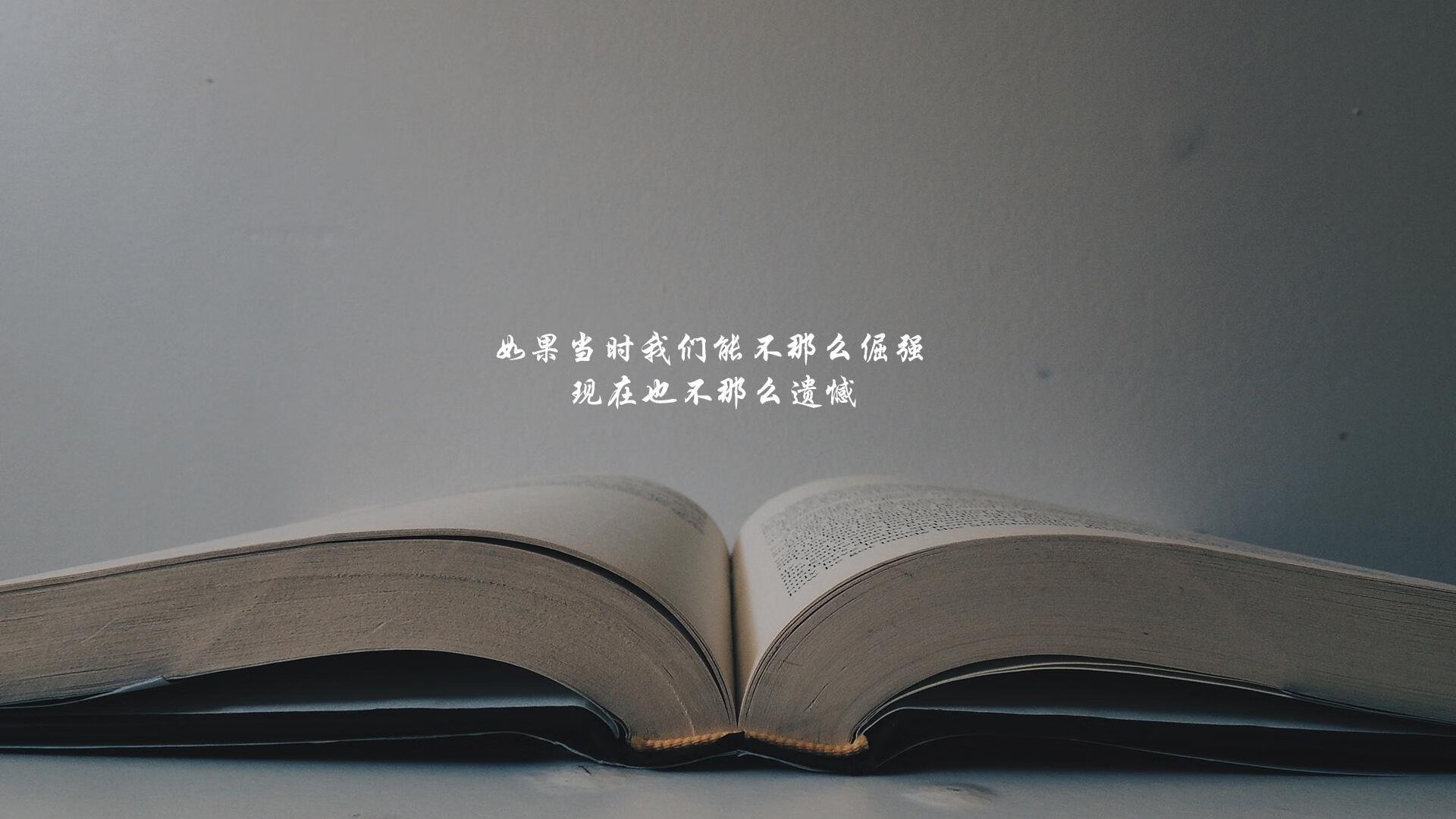 唯一路口,2026,布罗佐维奇与沙漠玫瑰的告白